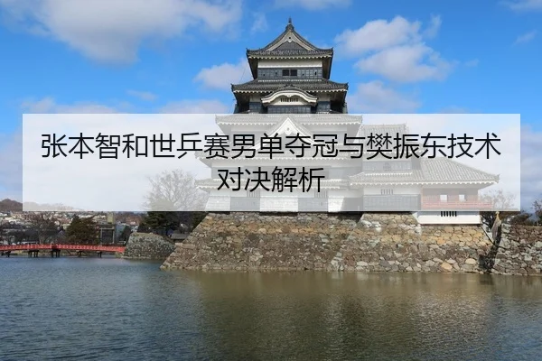 张本智和世乒赛男单夺冠与樊振东技术对决解析（kaiyun）