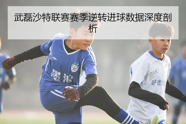 武磊沙特联赛赛季逆转进球数据深度剖析 | kaiyun